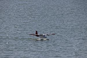 2019-10-12 - 2085 - -DxO