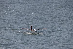 2019-10-12 - 2090 - -DxO