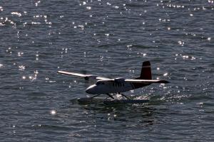 2019-10-12 - 2104 - -DxO