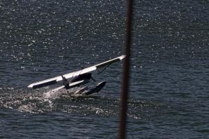 2019-10-12 - 2208 - -DxO