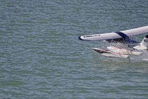 2019-10-12 - 2234 - -DxO