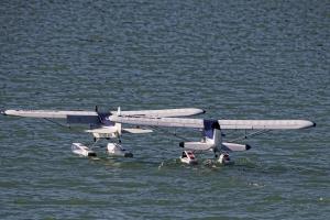 2019-10-12 - 2250 - -DxO