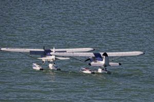 2019-10-12 - 2251 - -DxO