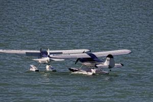 2019-10-12 - 2254 - -DxO