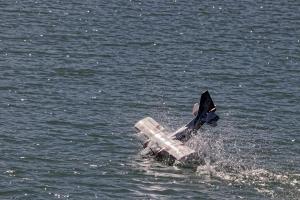 2019-10-12 - 2478 - -DxO