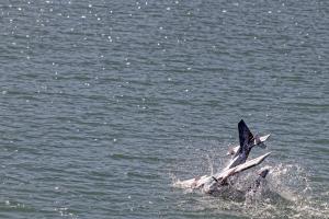 2019-10-12 - 2479 - -DxO