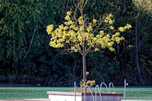 2019-10-12 - 2492 - -DxO