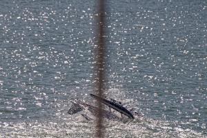 2019-10-12 - 2495 - -DxO