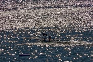 2019-10-12 - 2562 - -DxO