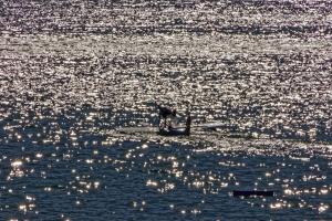 2019-10-12 - 2564 - -DxO