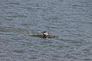 2019-10-12 - 2590 - -DxO