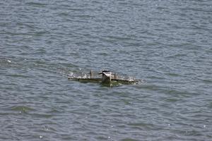 2019-10-12 - 2591 - -DxO