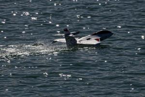 2019-10-12 - 2628 - -DxO