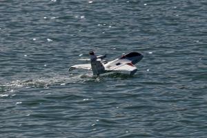 2019-10-12 - 2630 - -DxO