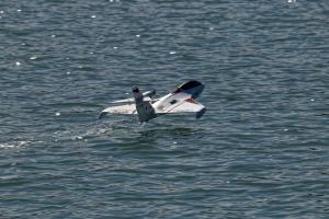 2019-10-12 - 2631 - -DxO