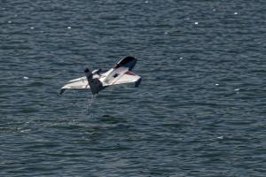 2019-10-12 - 2632 - -DxO