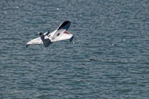 2019-10-12 - 2633 - -DxO