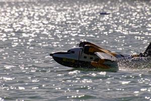 2019-10-12 - 2774 - -DxO