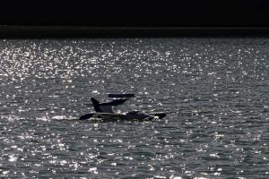 2019-10-12 - 2832 - -DxO