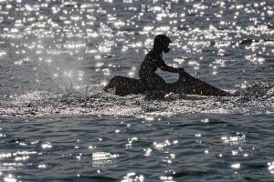 2019-10-12 - 2928 - -DxO