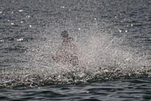 2019-10-12 - 2937 - -DxO