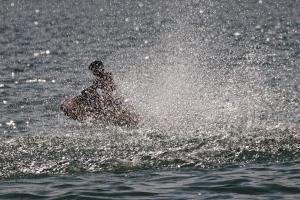 2019-10-12 - 2938 - -DxO